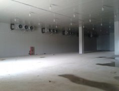 某集團(tuán)大型冷庫工程