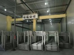 板栗速凍冷庫(kù)